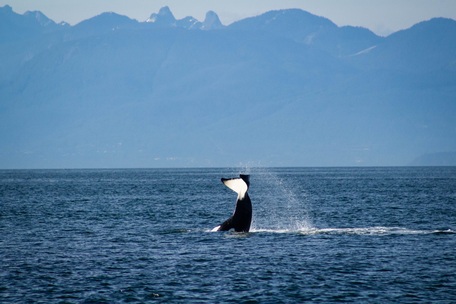 Ghosts Of The San Juan Islands - Discovering Washington State